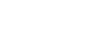 logo da liviabragahair